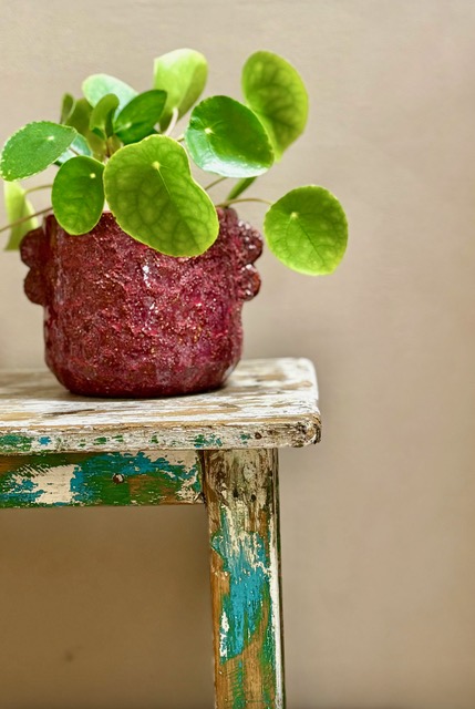 Interior design by The Living Workshop